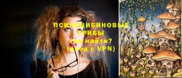 гидра Инсар