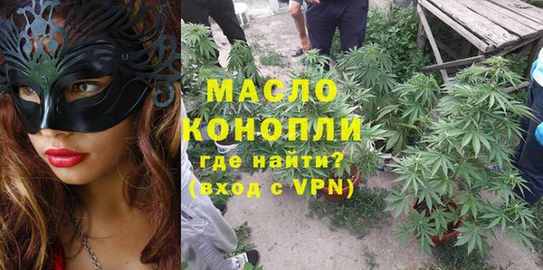 дмт Абаза