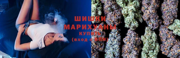 дмт Абаза