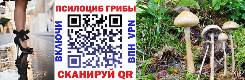 Псилоцибиновые грибы MAGIC MUSHROOMS  Орск 